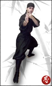 Shinobi Shozoku Básico